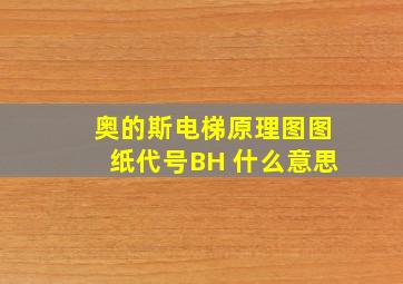 奥的斯电梯原理图图纸代号BH 什么意思